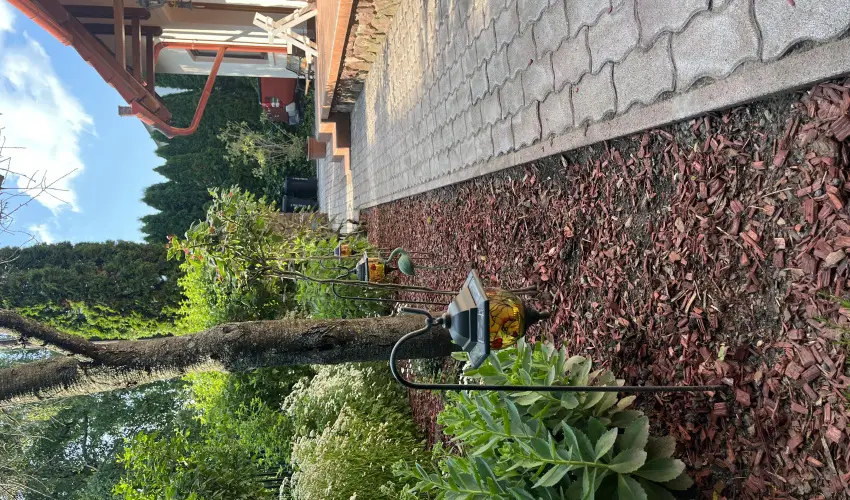 Aventurin House Rvflp - Hsvt (min. 2 j)