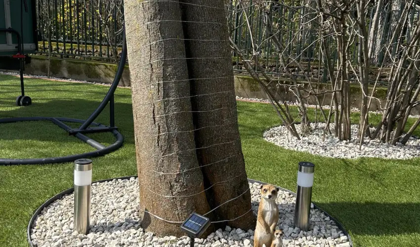 Aventurin House Rvflp - Hsvt (min. 2 j)