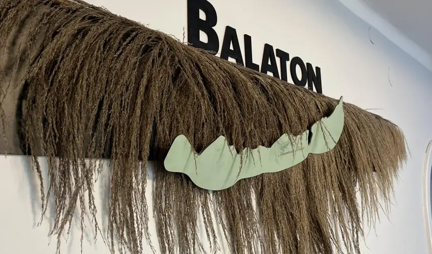 Aventurin House Rvflp - Hsvt (min. 2 j)