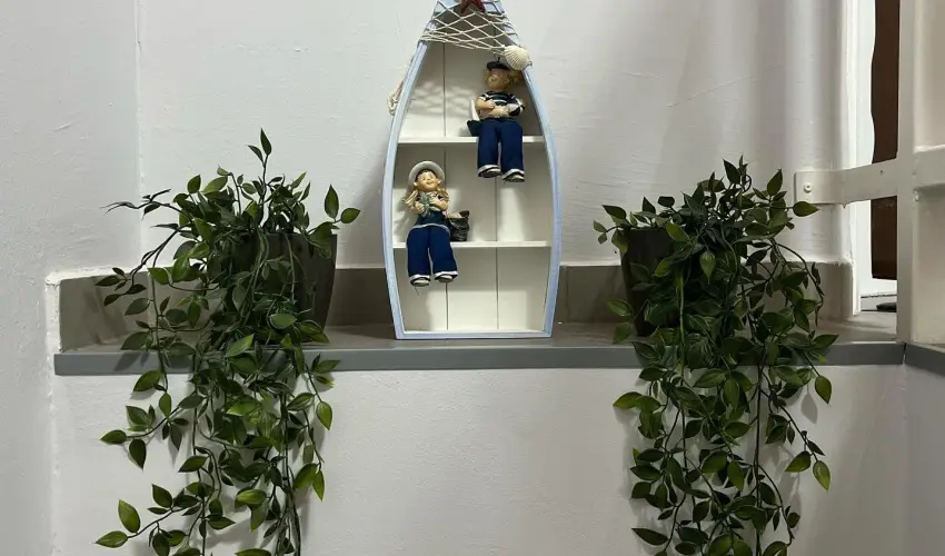 Aventurin House Rvflp - Hsvt (min. 2 j)