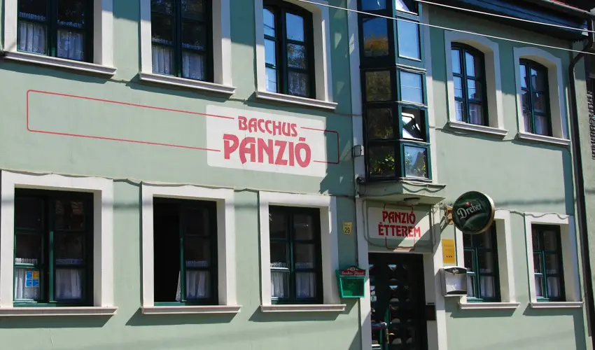 Bacchus Panzi Eger - Hsvt (min. 2 j)