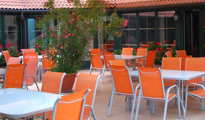 Bacchus Panzi Eger - Hsvt (min. 2 j)