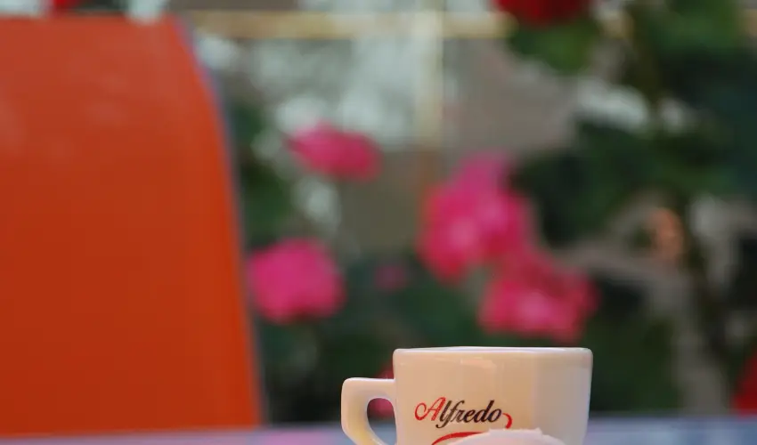 Bacchus Panzi Eger - Hsvt (min. 2 j)