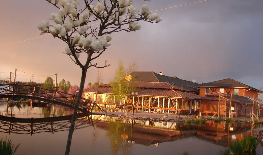 Bagolyvr Inrcs Inrcs - Hsvt 