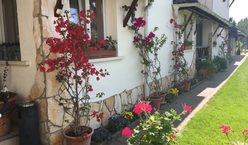 Bagolyvr Inrcs Inrcs - Hsvt 