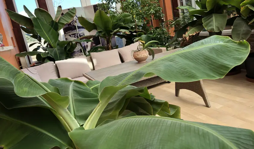 Bagolyvr Inrcs Inrcs - Hsvt 