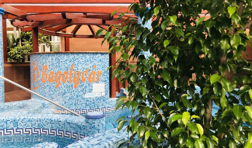 Bagolyvr Inrcs Inrcs - Hsvt 