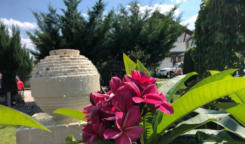 Bagolyvr Inrcs Inrcs - Hsvt 