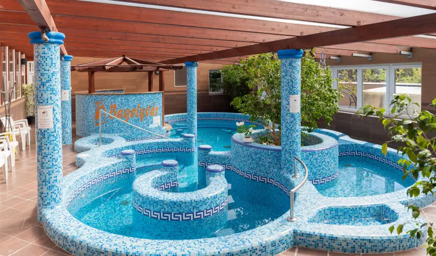 Bagolyvr Inrcs Inrcs - Hsvt 