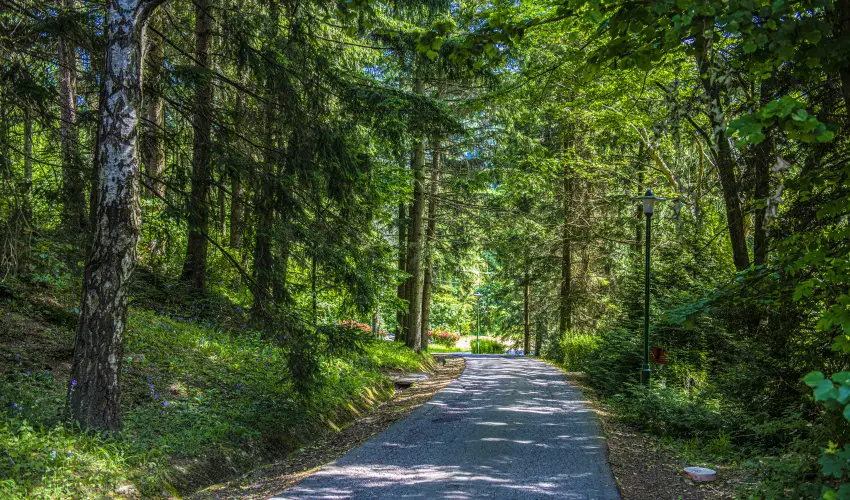 Hotel Bakony Bakonybl - Hsvt (min. 2 j)