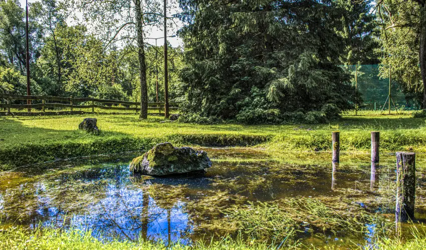 Hotel Bakony Bakonybl - Hsvt (min. 2 j)