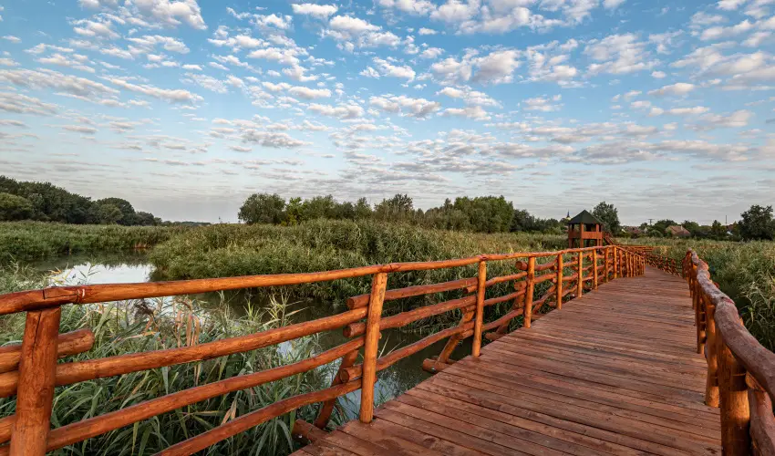 Barack Thermal Apartmanok Tiszakcske - Hsvt