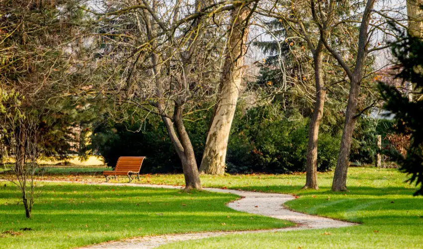 Batthyny Kria Zalacsny - Hsvt (min. 2 j)