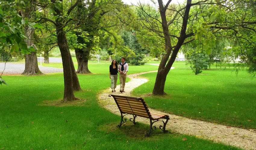 Batthyny Kria Zalacsny - Hsvt (min. 2 j)