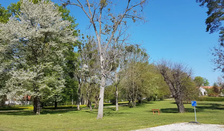 Batthyny Kria Zalacsny - Hsvt (min. 2 j)