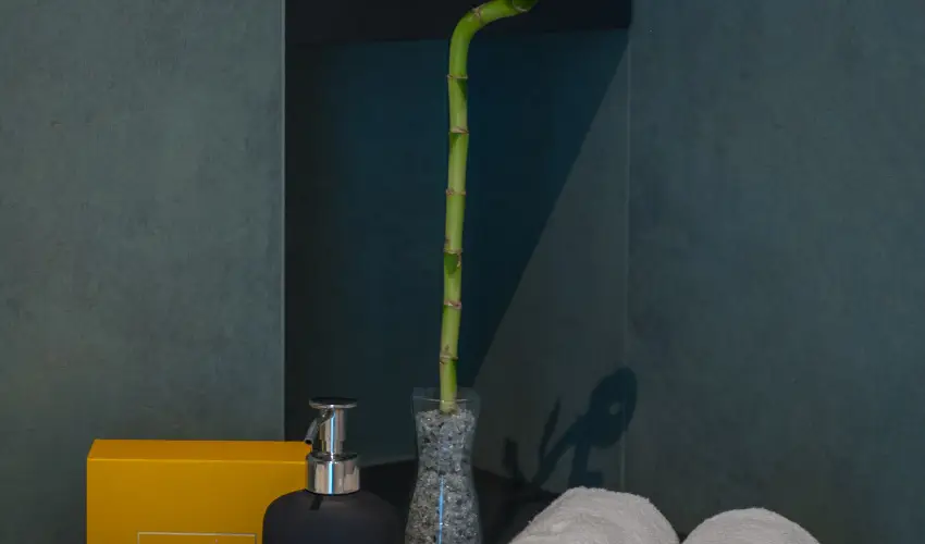 BJ81 Suite Hotel Sifok - Hsvt (min. 3 j)