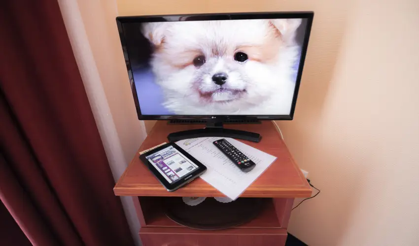 Boglrka Panzi-tterem  Mezkvesd - Hsvt (min. 2 j)