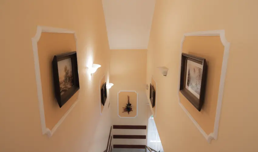 Boglrka Panzi-tterem  Mezkvesd - Hsvt (min. 2 j)