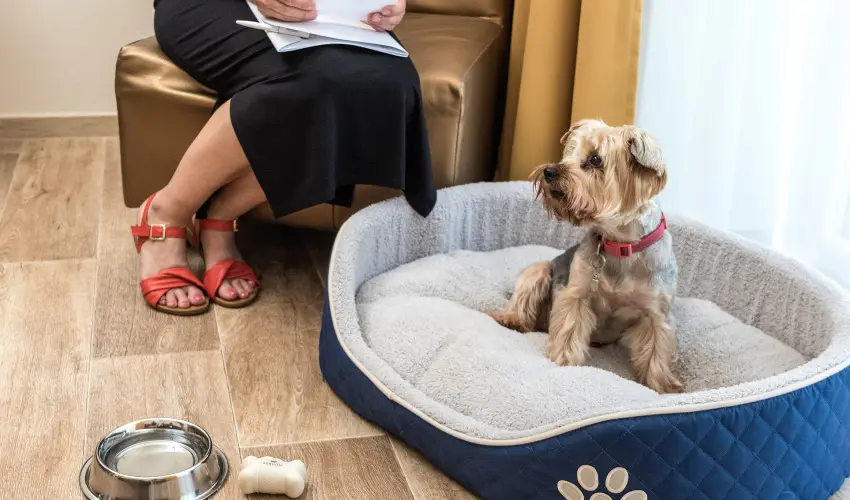 Bonvital Wellness & Gastro Hotel H�v�z H�v�z - H�sv�t