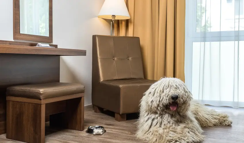 Bonvital Wellness & Gastro Hotel H�v�z H�v�z - H�sv�t