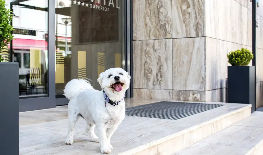 Bonvital Wellness & Gastro Hotel H�v�z H�v�z - H�sv�t