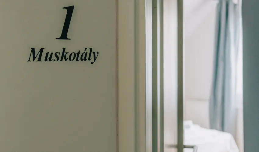 Borbartok Panzi Badacsonytomaj - Hsvt (min. 2 j)