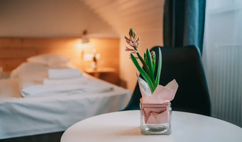 Borbartok Panzi Badacsonytomaj - Hsvt (min. 2 j)