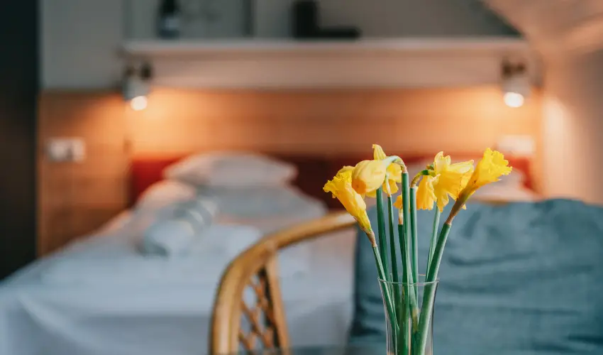 Borbartok Panzi Badacsonytomaj - Hsvt (min. 2 j)