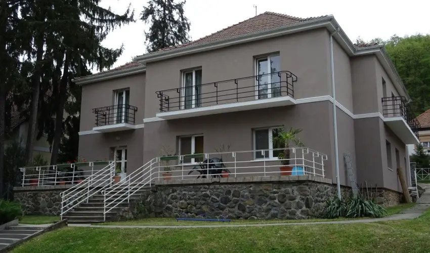 Borka Panzi Pardfrd - Hsvt