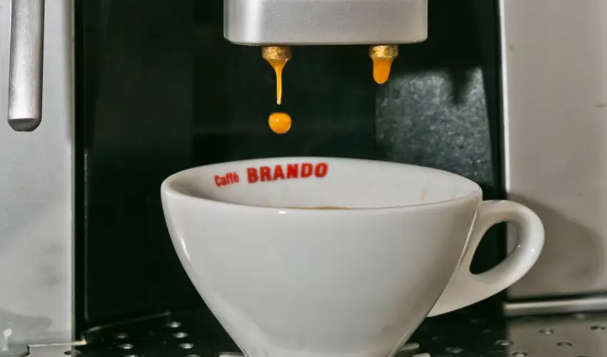 Borka Panzi Pardfrd - Hsvt