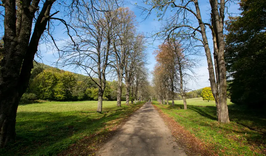 Borka Panzi Pardfrd - Hsvt