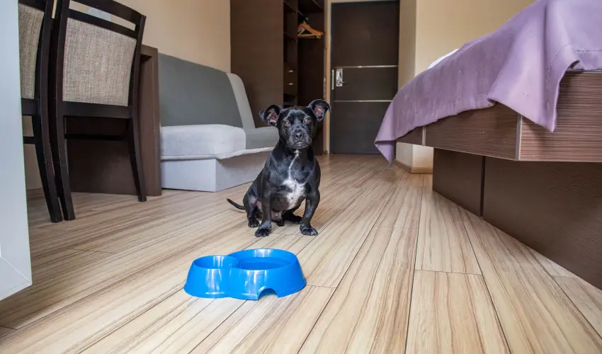 CE Plaza Hotel Si�fok - CE Plaza H�sv�t (min. 3 �j)