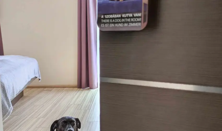 CE Plaza Hotel Si�fok - CE Plaza H�sv�t (min. 3 �j)