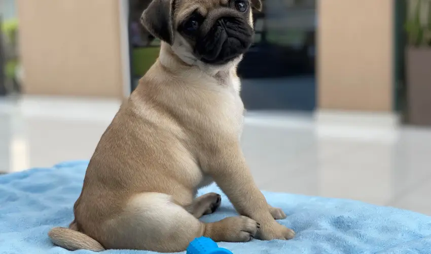 CE Plaza Hotel Si�fok - CE Plaza H�sv�t (min. 3 �j)