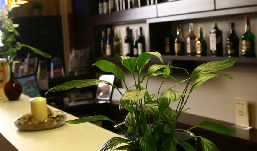 Central Hotel 21 Budapest - Hsvt 