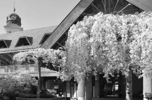 Centrum Hotel - Hsvt 