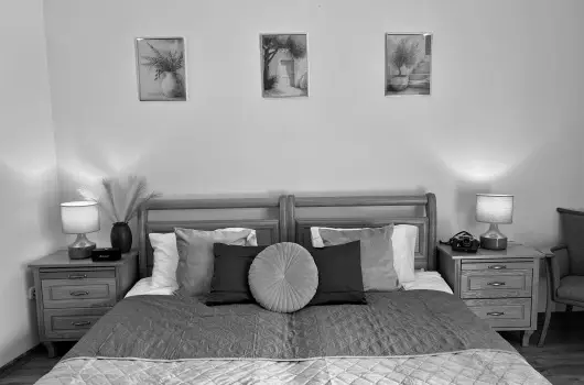 Cottage Apartman Gyula - H�sv�ti kiruccan�s Gyul�n