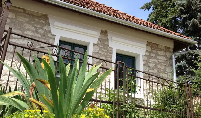 Czirka Vendghz Tolcsva - Hsvt (min. 3 j)