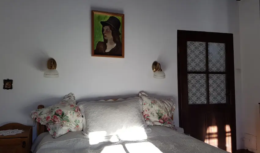 Czirka Vendghz Tolcsva - Hsvt (min. 3 j)