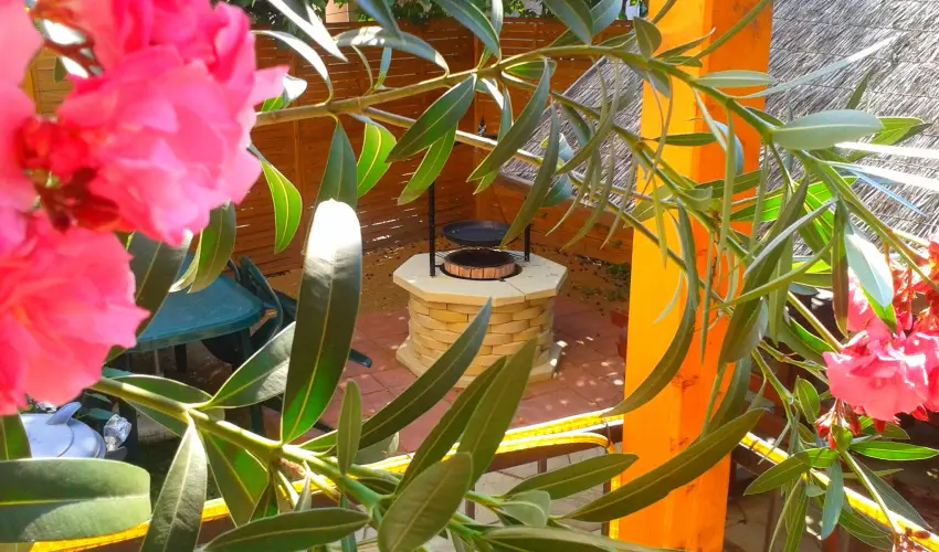 Dek Vendghz Hajdszoboszl - Hsvt (min. 3 j)