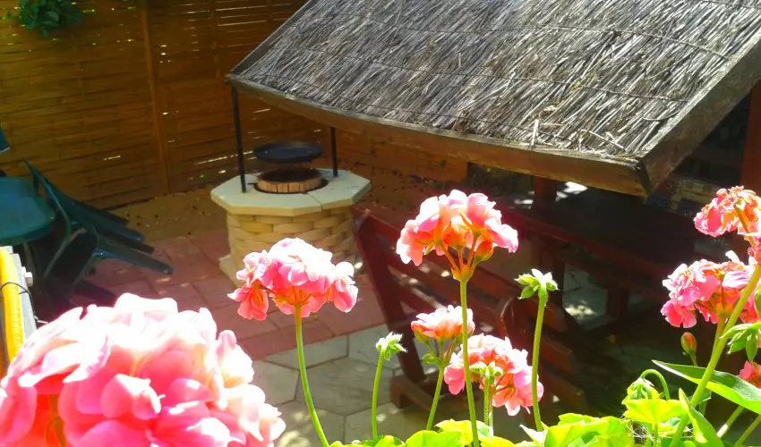 Dek Vendghz Hajdszoboszl - Hsvt (min. 3 j)