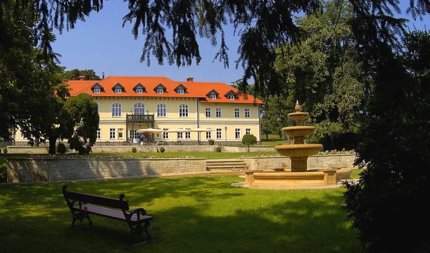 gr�f Degenfeld Kast�lysz�ll� Tarcal - H�sv�t 