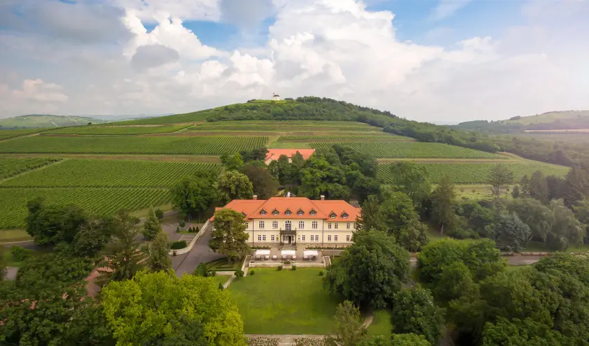 gr�f Degenfeld Kast�lysz�ll� Tarcal - H�sv�t 