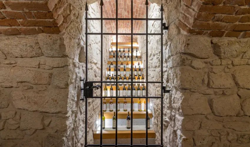 gr�f Degenfeld Kast�lysz�ll� Tarcal - H�sv�t 