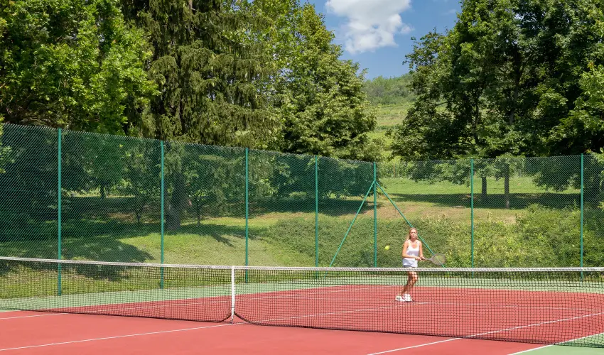 gr�f Degenfeld Kast�lysz�ll� Tarcal - H�sv�t 