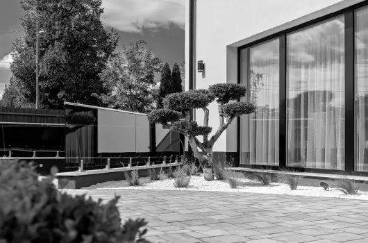 Diamond Panzi� - H�sv�t 