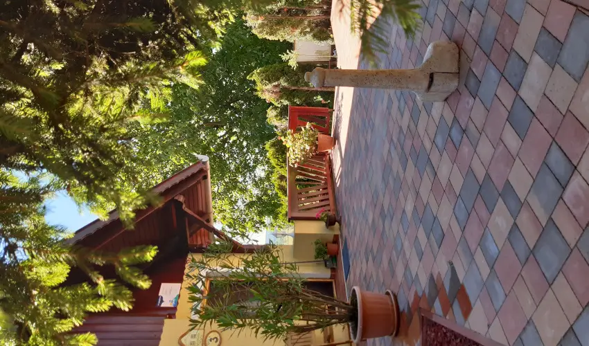 Difa Vendghz Kehidakustny - Hsvt (min. 3 j)