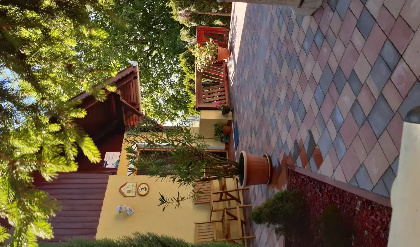 Difa Vendghz Kehidakustny - Hsvt (min. 3 j)