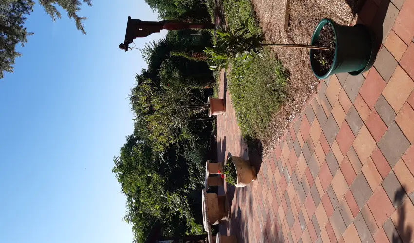 Difa Vendghz Kehidakustny - Hsvt (min. 3 j)