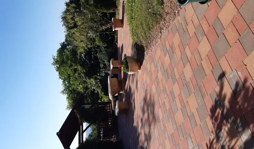 Difa Vendghz Kehidakustny - Hsvt (min. 3 j)